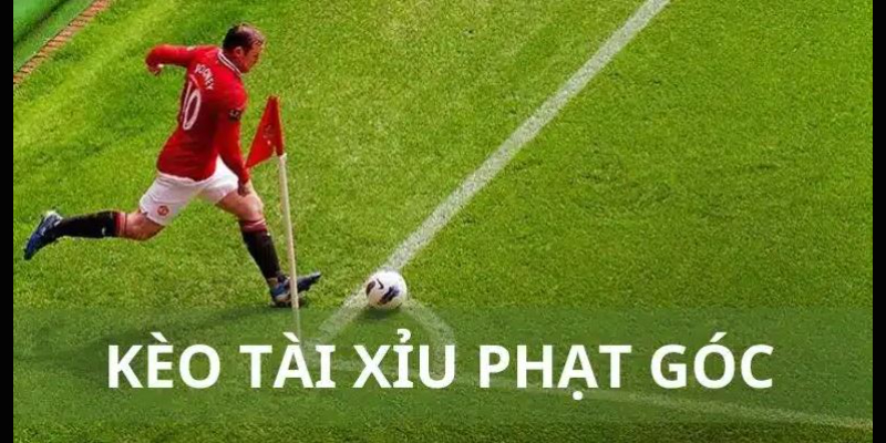 Một số tỷ lệ phạt góc tại nhà cái phổ biến